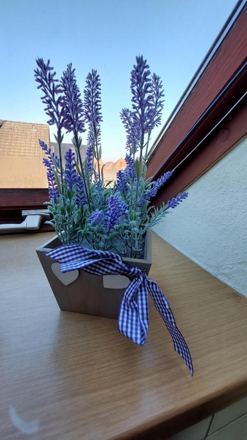 Ferienwohnung Weser Μίντεν Εξωτερικό φωτογραφία